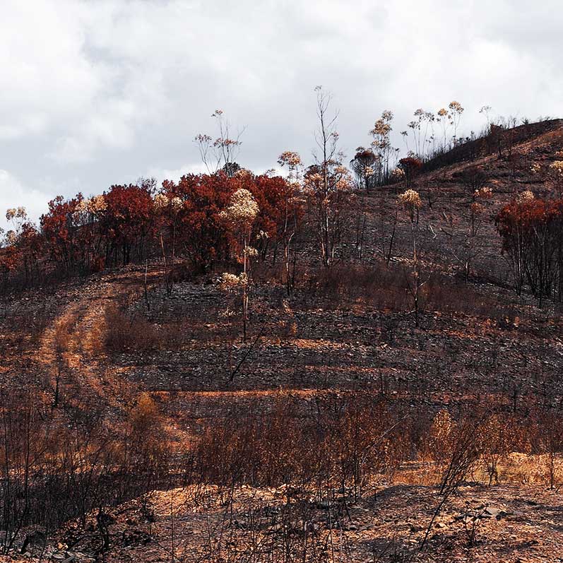 Why-the-Best-for-the-World-is-not-always-THE-BEST,-yet