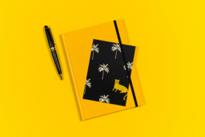 Paper On The Rocks - Cindy van Rees - 20200206 - Compressed-DSC_7884