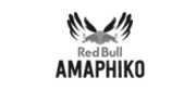 amaphiko