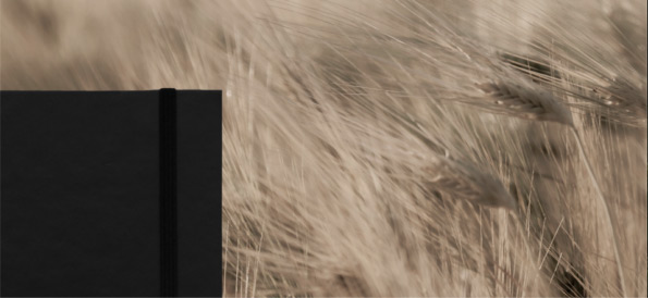 Plant paper notebook with grains in the background plant paper notebook, sustainable corporate gift, sustainable promotional gift, customisable notebook, customisable corporate gift,